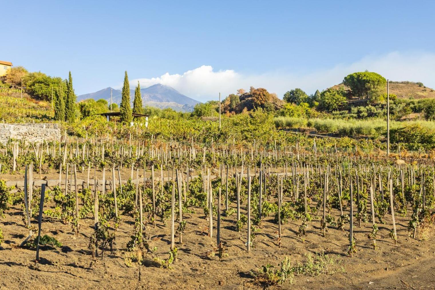 Appartamento Etna Trecastagni Kültér fotó